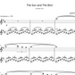 The Sun And The Bird - Solo Piano - Jordi Forniés