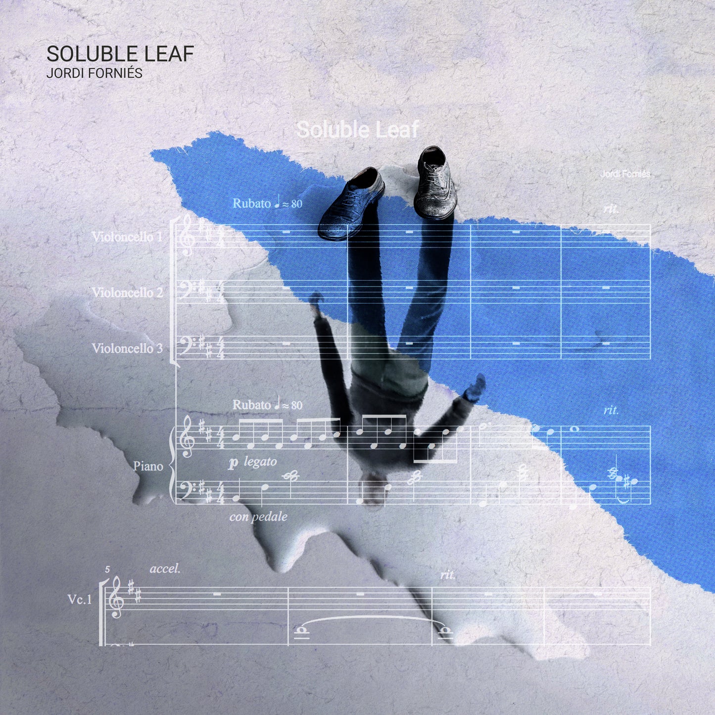 Soluble Leaf - Piano & Cello - Jordi Forniés